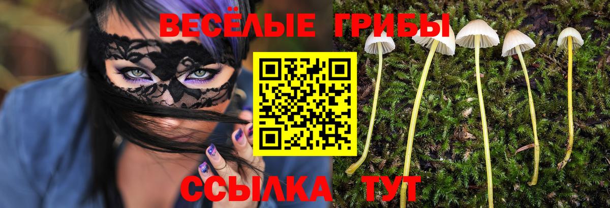 Галлюциногенные грибы мицелий Ялуторовск